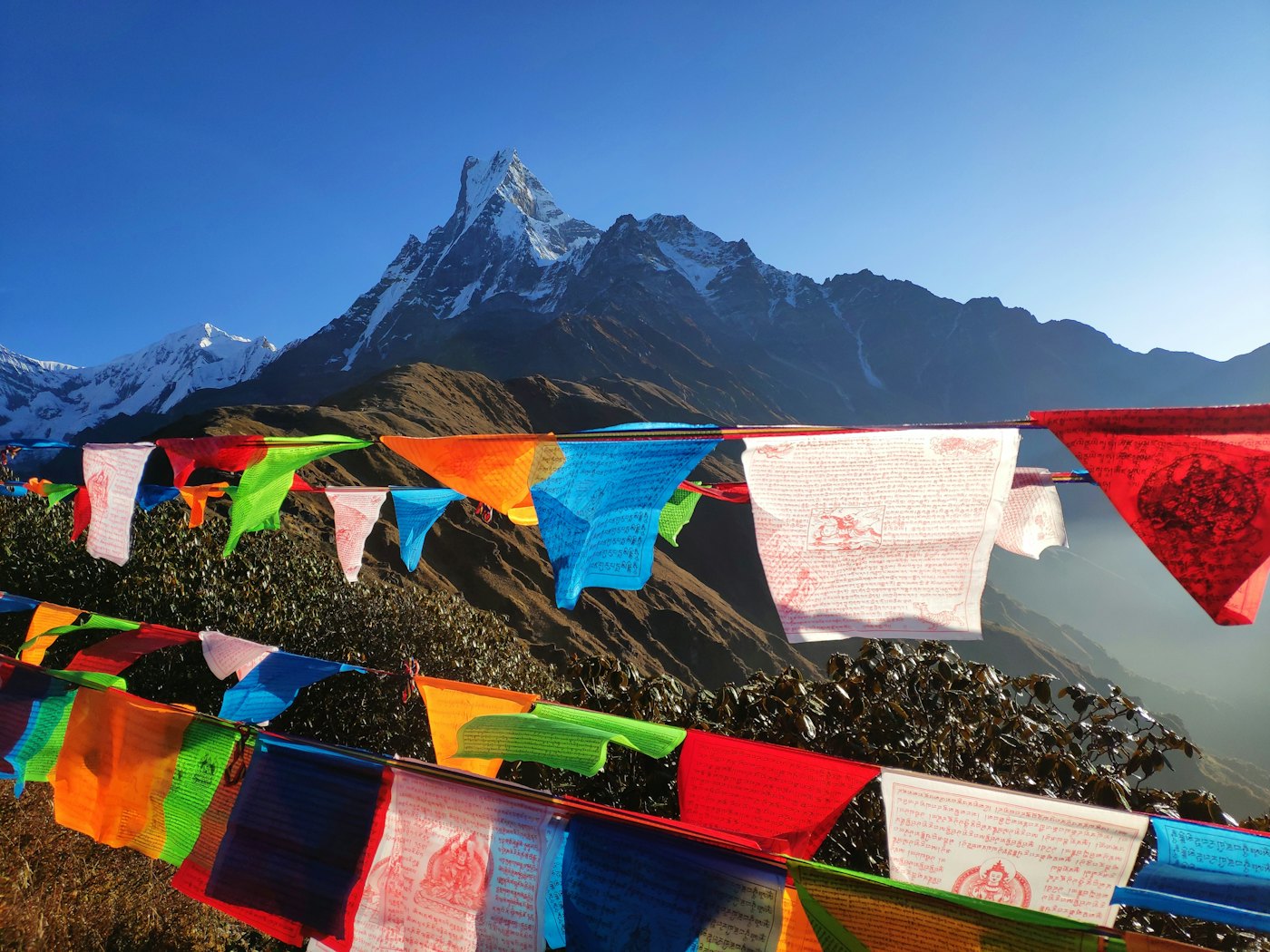 Mardi Himal Yoga Trek – Immersive Growth and Tranquility