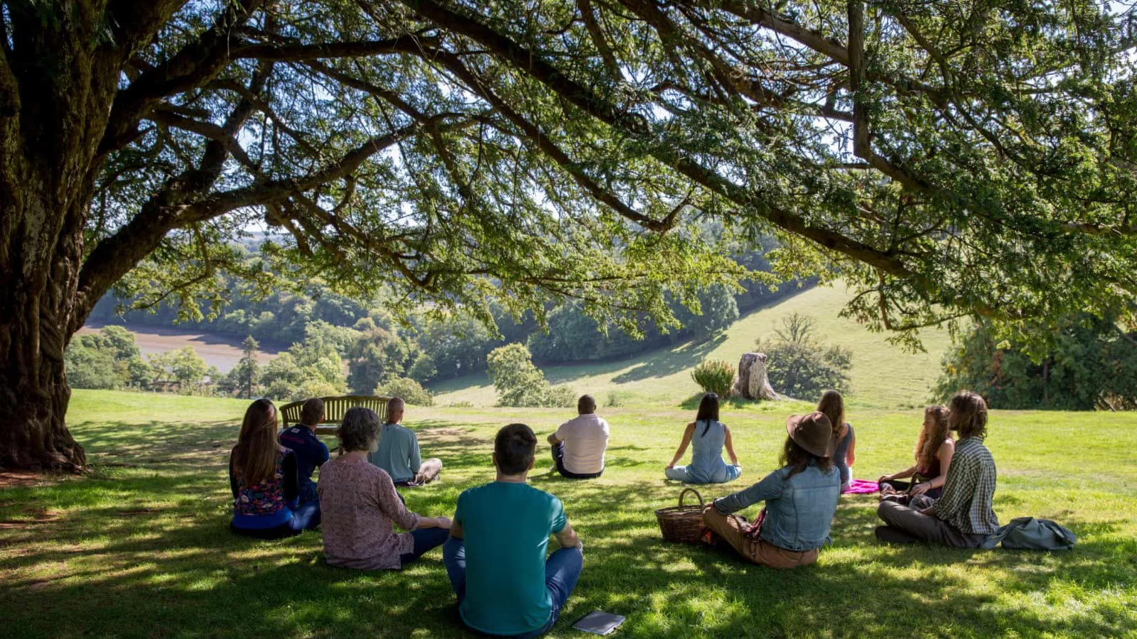 Meditation circle under the tree