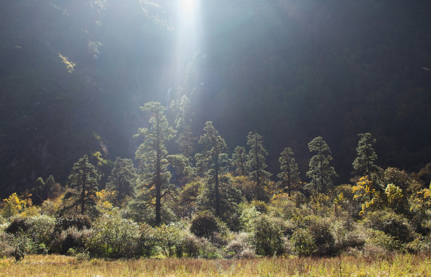 Mardi Himal Yoga Trek – Immersive Growth and Tranquility