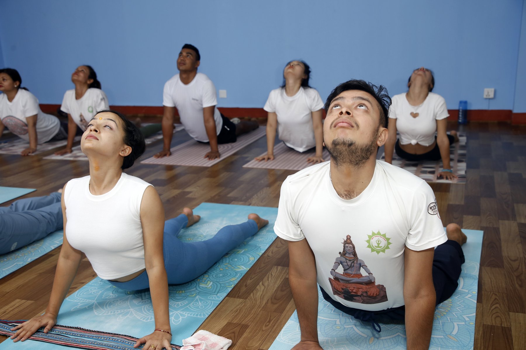 Upward dog in the morning class