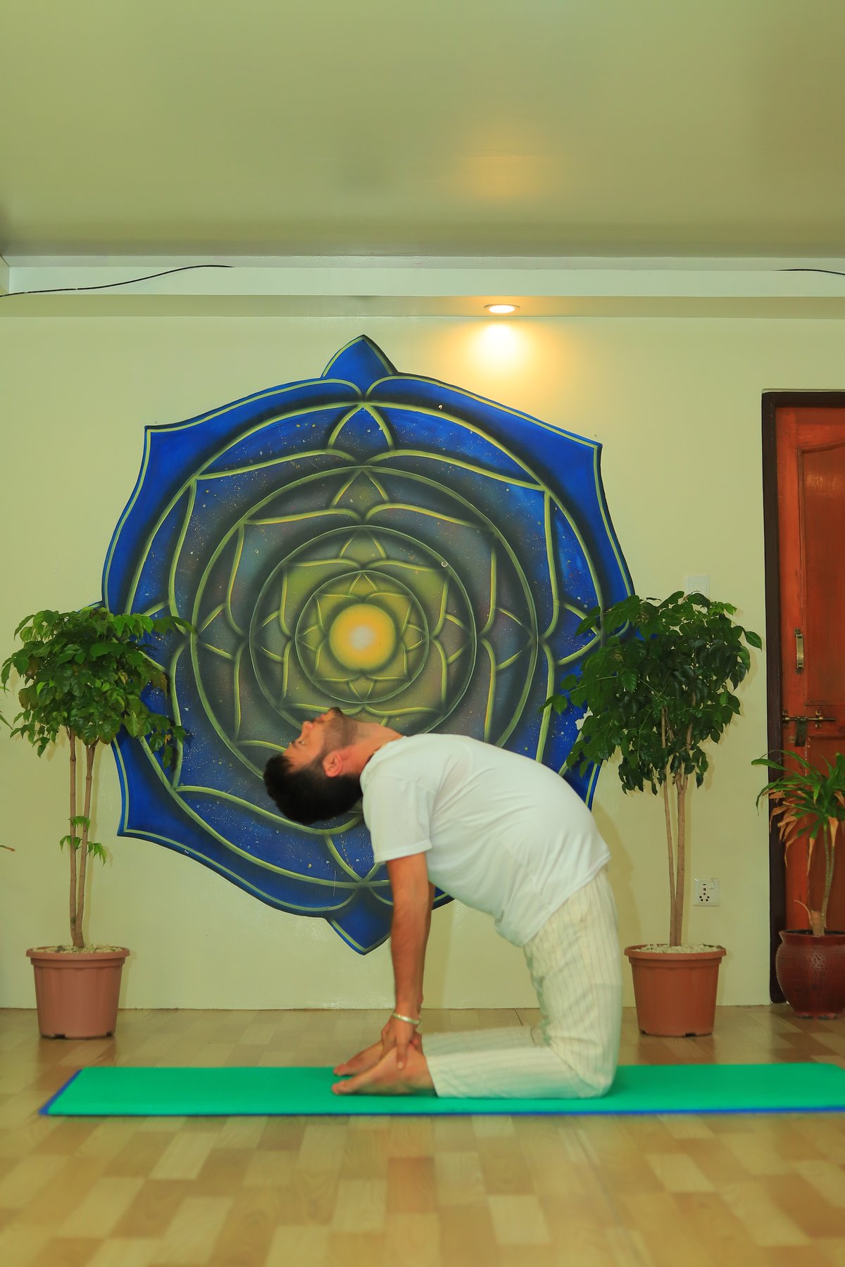 Camel pose