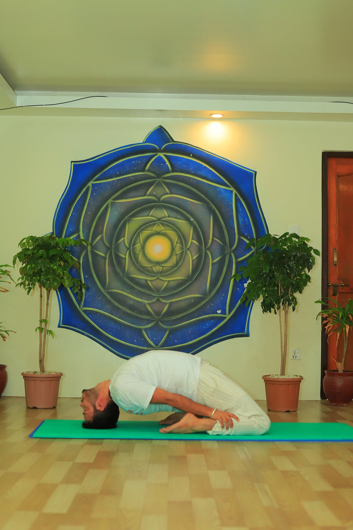 Child's pose, resting