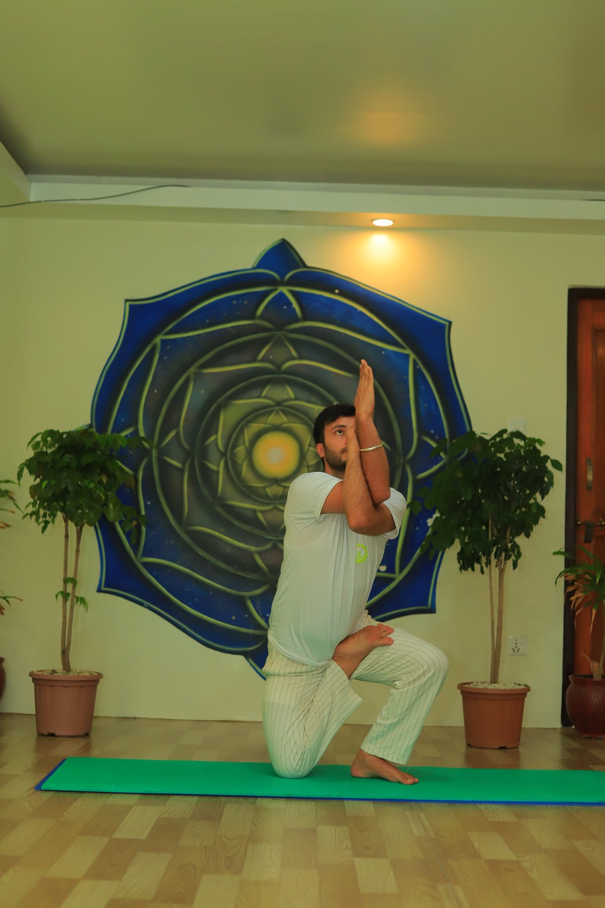 A reclined twist