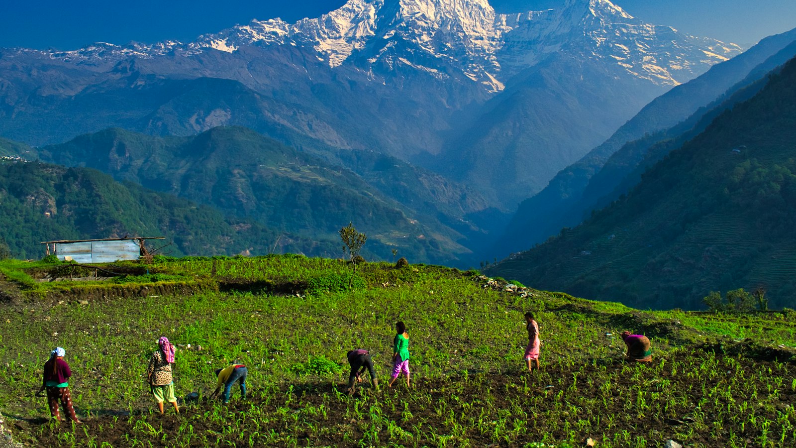 Gajaram Parbat Trek — 3D/2N