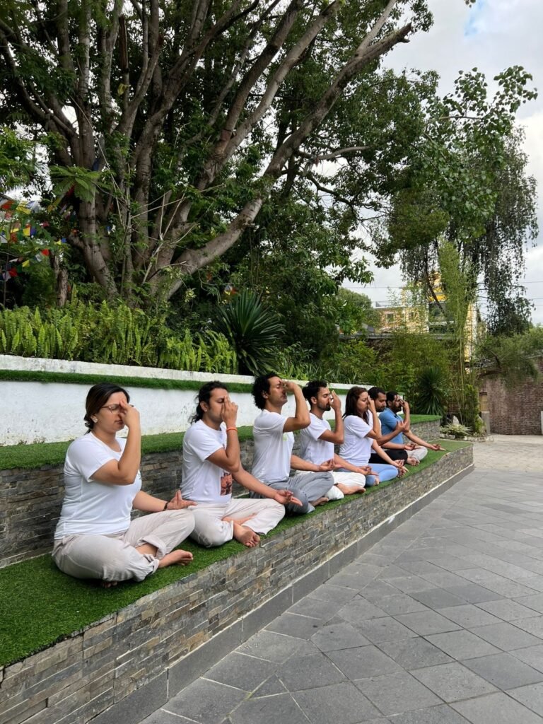 Meditation for Beginner: Learn daily Yoga and meditation